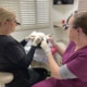 Hair 4 Life Medical - Dr. Kelemen