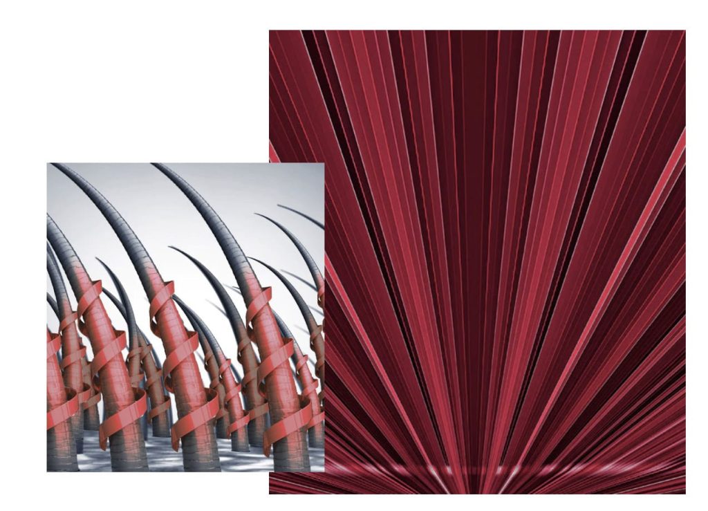 Hair 4 Life Medical - Dr. Kelemen