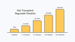 hair growth timeline